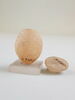 vase-hatches ; vase simulacre, image 1/3
