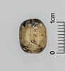 scarabée, image 3/3