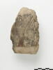 ostracon figuré, image 1/3