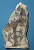 ostracon figuré, image 3/4