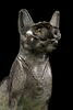 cercueil de chat, image 5/8