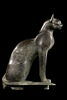 cercueil de chat, image 6/8