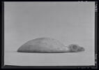 coupelle  ; vase plastique ; couvercle de vase, image 6/8