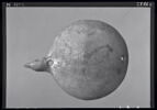 coupelle  ; vase plastique ; couvercle de vase, image 8/8