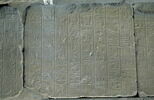 Le mur des annales de Thoutmosis III, image 14/21