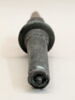 enseigne divine  ; sceptre, image 4/4