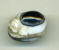 scarabée, image 1/2