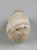 vase, image 4/4