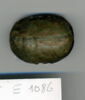 scarabée de cœur, image 1/2