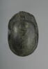 scarabée de cœur, image 1/2