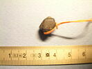 perle polygonale, image 2/3