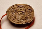 scarabée, image 1/4