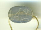 scarabée, image 1/6