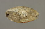 perle en demi olive, image 2/2