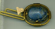 scarabée, image 1/2