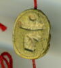 scarabée, image 1/3