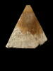 pyramidion tronqué, image 13/28