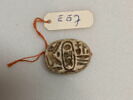 scarabée, image 1/2