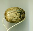 scarabée ; sceau, image 5/5