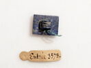 amulette, image 1/2