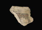 ostracon figuré, image 2/2