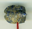 scarabée à ventre détaillé, image 1/2