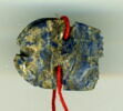 scarabée à ventre détaillé, image 2/2