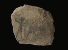 ostracon figuré, image 3/3