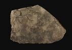 ostracon figuré, image 8/8