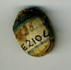 scarabée, image 4/4