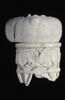 vase, image 4/5