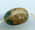 scarabée, image 2/2