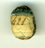 scarabée, image 2/2