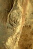 statue, image 11/11