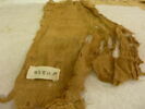 tissu, image 2/2