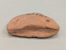 poids de filet, image 3/3