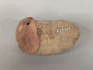 amphore, image 2/3