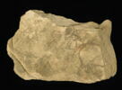 ostracon figuré, image 2/2