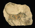 ostracon figuré, image 5/5