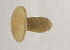 boucle d'oreille en champignon, image 1/3