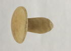 boucle d'oreille en champignon, image 1/4