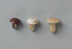 boucle d'oreille en champignon, image 2/4