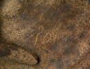 amphore, image 4/5