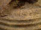amphore, image 5/5