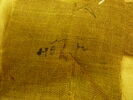 linceul, image 2/2