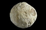 poids, image 1/2