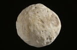 poids, image 2/2