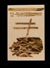 linceul peint  ; bandelette, image 2/2