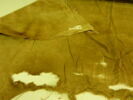 tissu, image 2/2