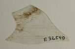 vase, image 1/2